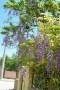 thumb_46-1