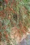 thumb_53