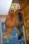 thumb_54
