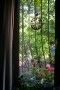 thumb_58-1