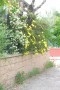 thumb_63